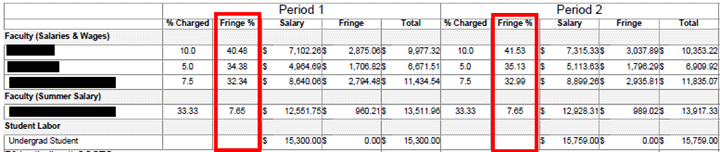 Fringe columns indicated on a sample Budget Salary Report