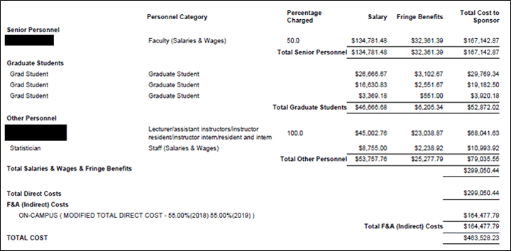 Example of updated Budget Summary Report