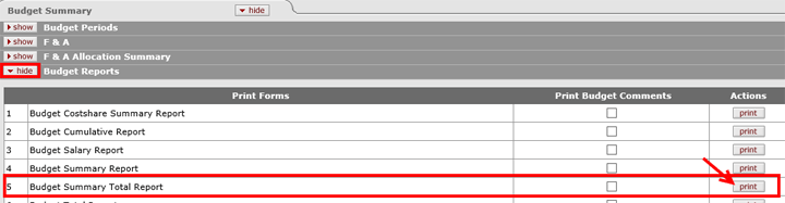 Budget Summary Total Report print button highlighted on the Budget Summary panel